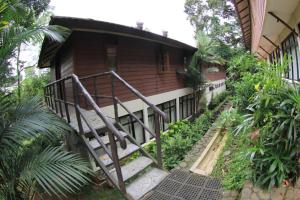 CICO Resort