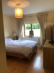 Private Room in Apartment beside Druids Glen Hotel