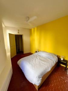 Charmant T3 au cœur de la ville