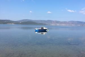 Yasemin