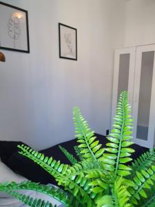 Apartament Nowy Port 7