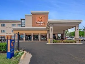 Comfort Inn Downtown - Hazel Park