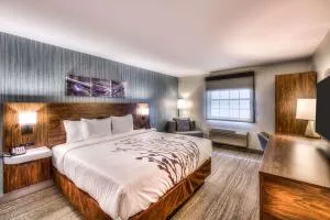 Sleep Inn Oakbrook Terrace - Chicago - 乔利埃特