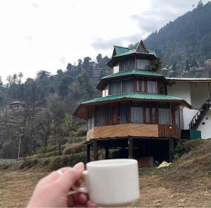 The Hidden Burrow by Whoopers