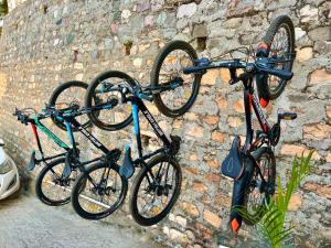 Himalayas by The Lake Hill