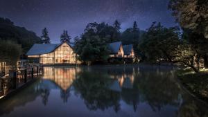 iTree The Secret land of Nankun Longmen