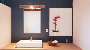 Maisons de vacances Ritournelle en Provence 19 personnes 4 etoiles : photos des chambres
