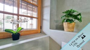 Les Appartements Charme et Elegance : photos des chambres