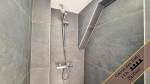 Les Appartements Charme et Elegance : photos des chambres