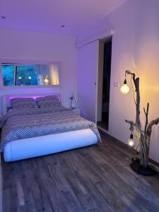 Petit Havre de Paix avec Jacuzzi Luxe & Jardin Privatif Zen