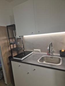 Milestone Studio apartment