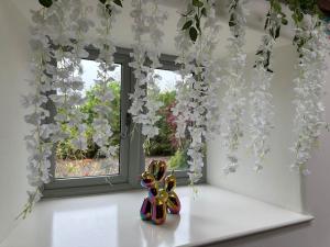 The InstaCottage, Brecon Beacons, River Wye