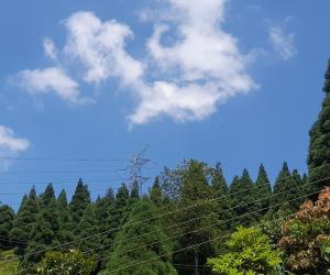 Adithyanaman Cottage Homestay