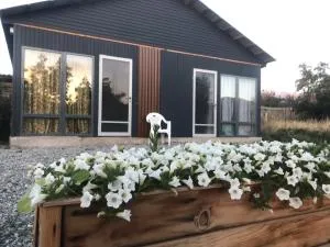 D&N Karakol - Teploklyuchinskoye