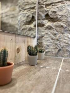 Lehmurlaub ökologisch perfekt