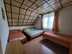 Erika Apartman