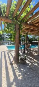 Rancho Bosque de Miranda - Tibúrcio Miranda