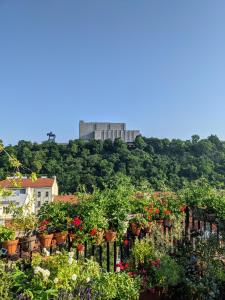 Guestrooms, rooftop with garden, spacious living room, character and fireplace