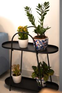 Charming & modern 2 bedroom apartment DVAS1-1