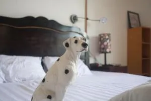 Lilly Garden Homestay - Thôn Kim Long (1)