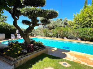 Appartements le jardin de mae : photos des chambres