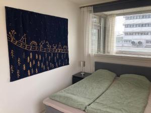 Rovaniemi center apartment