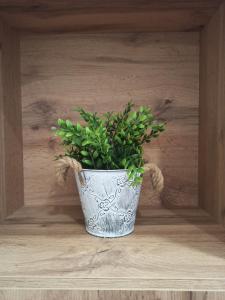 Apartman Milutinovic