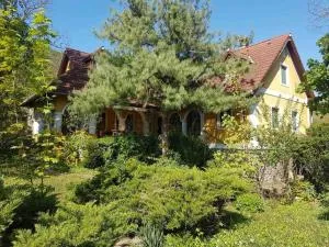 Kertből a hegyre Nyaralóház Mindszentkálla - Diszel