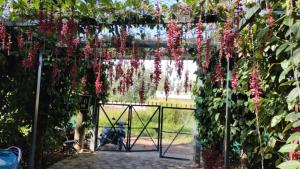 Cholai Resorts & Hotels