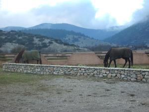 Orange Resorts Parnassos Greece