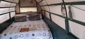 Knersvlakte Ossewaens Adam se Uitspanning