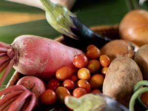 Dejama Glamping Resort Lombok