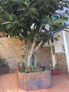 Casa El Portito