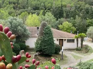 La Vinya de Mas Pujol - Fonollosa