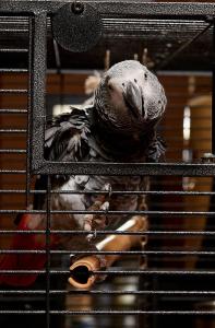 Sunny Beach Hotel Forum -Inclusive