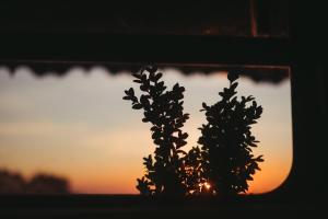 The Horse Hut & Lotus Spa