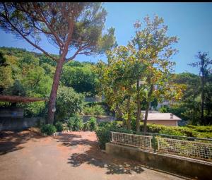 [Forti Genova-Free Parking] Castellaccio Apartment