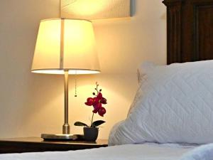 Vista Panorama Cipres