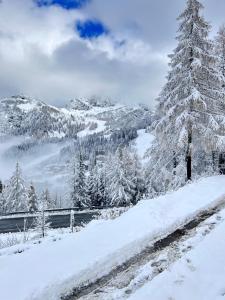 Almappartement Nassfeld- Sonnenalpe