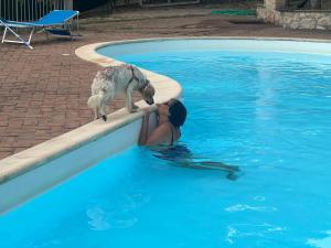 SetterHouseAgriHotel