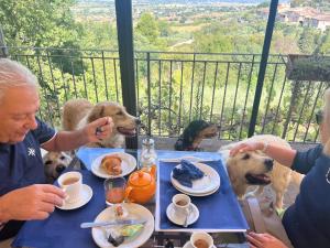 SetterHouseAgriHotel