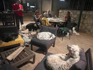 SetterHouseAgriHotel