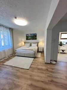 Silvan Villa - Apart - Saschiz