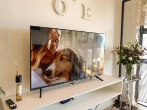 Modern 1 Bedroom Apt & Sauna Flowerbox Triton Heights