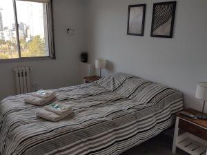 Departamento Del Plaza