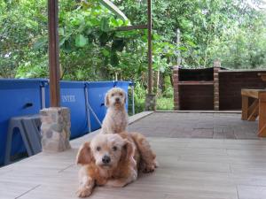 Hogar&Selva, casa vacacional