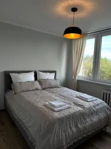 Zdrojowa 39 - Kuczek