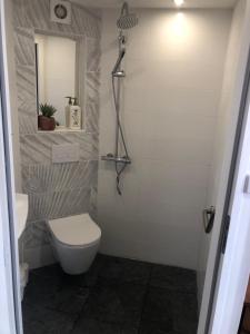 Sejours chez l'habitant Les Logis d-Argent Chambre d-hote avec WC, SDB, TV, Wifi, Option Petit Dejeuner , Parking : photos des chambres