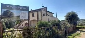 Agriturismo IL VECCHIO OLIVO - Сассетта