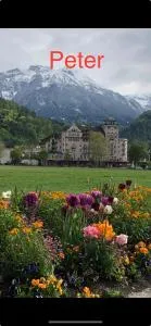 APARTMENT PETER - Matten